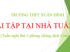 Bài Tập Tại Nhà Tuần 27 (Tuần Nghỉ Thứ 3 Phòng Chống Dịch Corona)