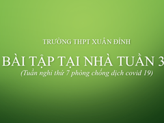 Bài Tập Tại Nhà Tuần 31 (Tuần Nghỉ Thứ 7 Phòng Chống Dịch Corona)
