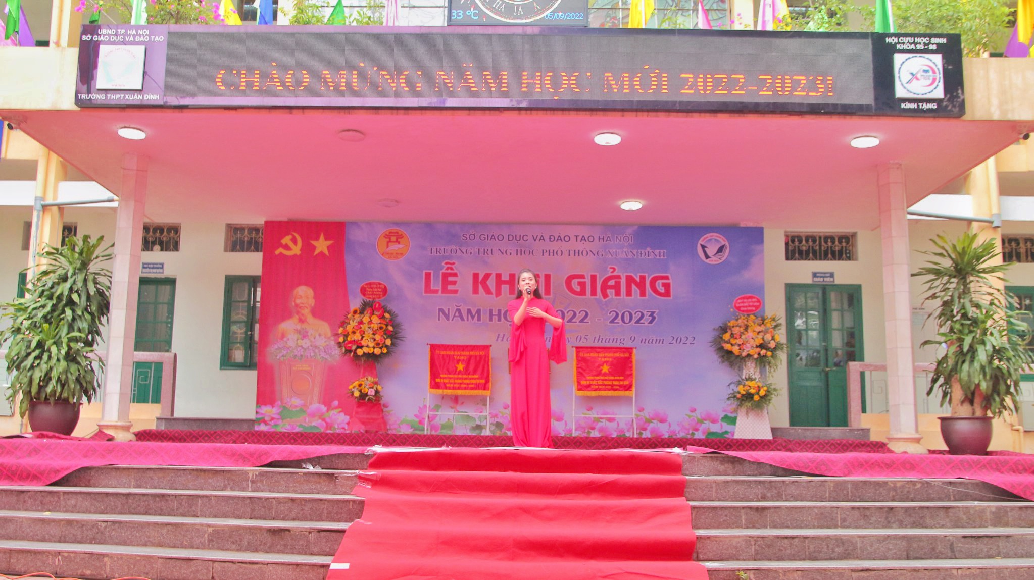 Vn6