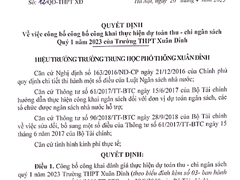 Công Khai Thực Hiện Dự Toán Thu - Chi Ngân Sách Quý I Năm 2023
