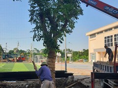 Trường THPT Xuân Đỉnh trân trọng cảm ơn các tập thể, cá nhân đã trồng và tặng cây xanh cho nhà trường