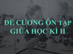 Đề Cương Ôn Tập Giữa Học Kì II Năm Học 2023-2024