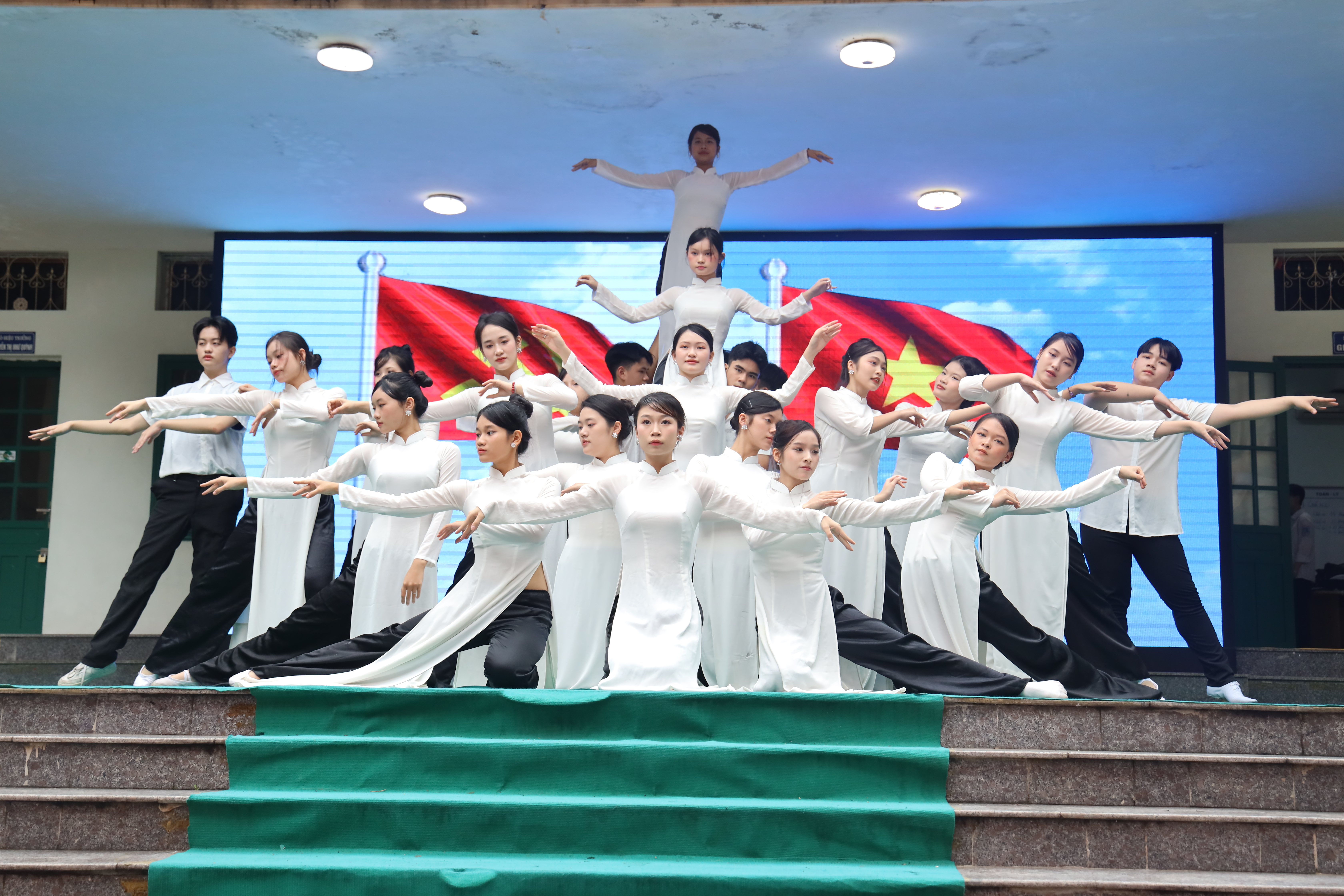 VN5